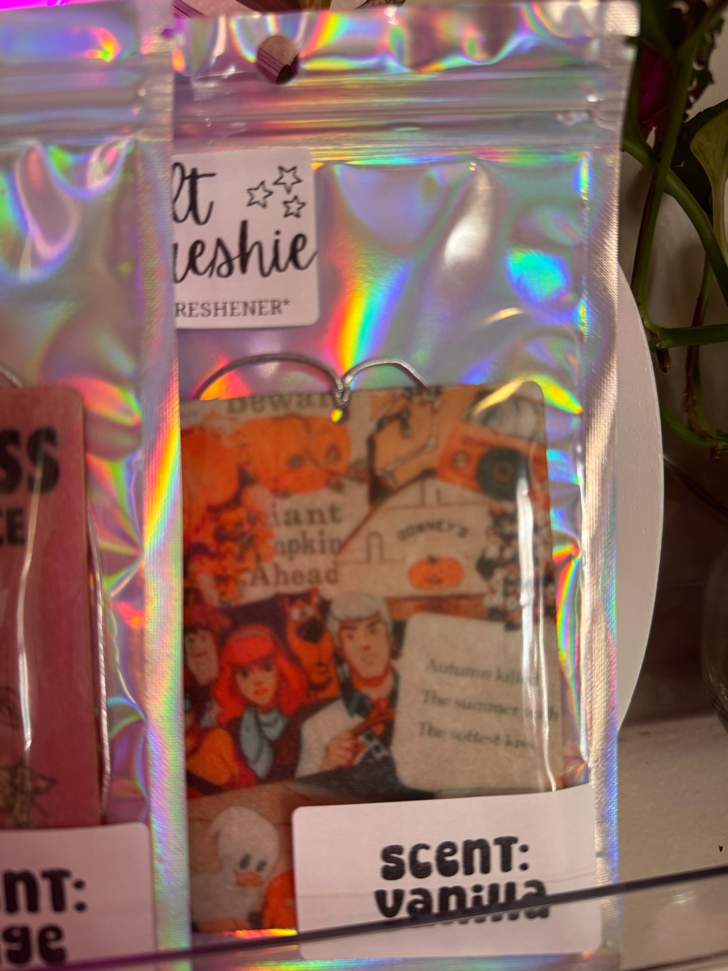 Fresh & Fabulous – 2-Pack Car Fresheners