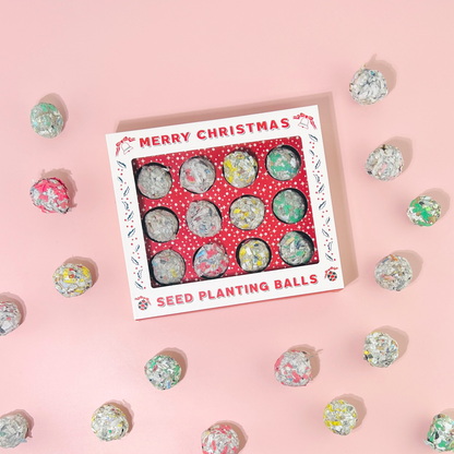 🎄 12 Days of Planting Christmas Seed Ball Set