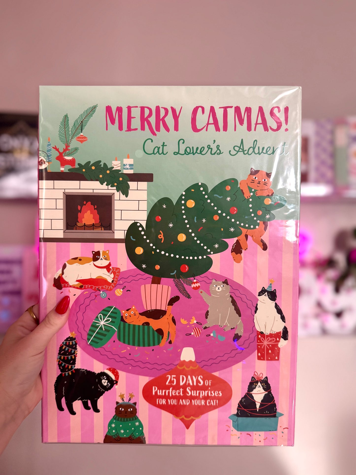 Merry Catmas! Binx & Bardy's Advent Calendar🐾